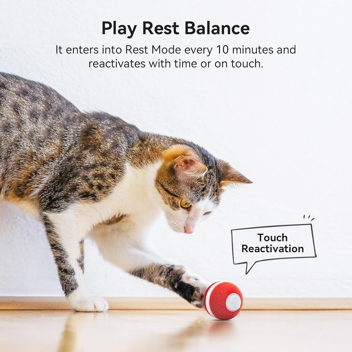 Interactive Cat Ball Toy, Automatic Moving Ball Toy for Indoor Cat Kitten, Electric Pet Toy Fun Gift with Light, High Energy Cat Toys, Red