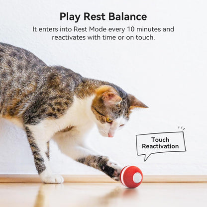 Interactive Cat Ball Toy, Automatic Moving Ball Toy for Indoor Cat Kitten, Electric Pet Toy Fun Gift with Light, High Energy Cat Toys, Red